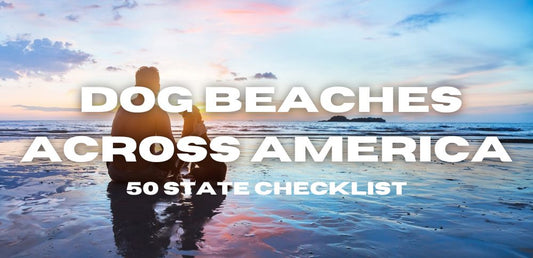 50 Top Dog Friendly Beaches Across America